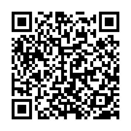 QR code for CYT208