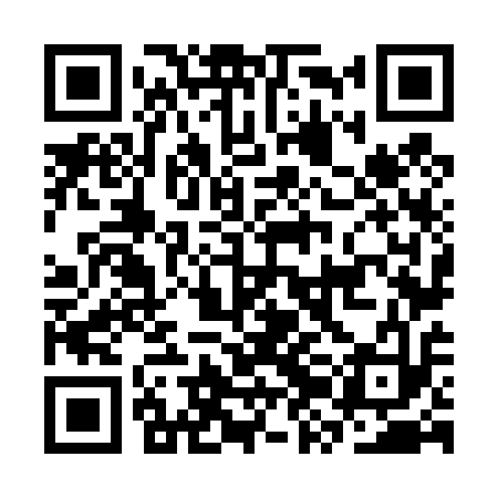 QR code for CZN413