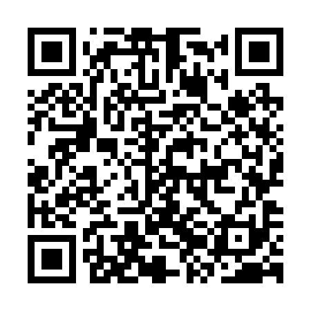 QR code for CZO291