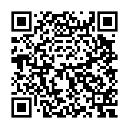QR code for CZP011