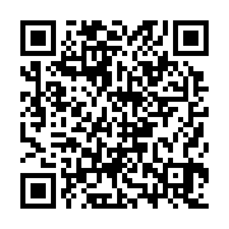 QR code for CZP323