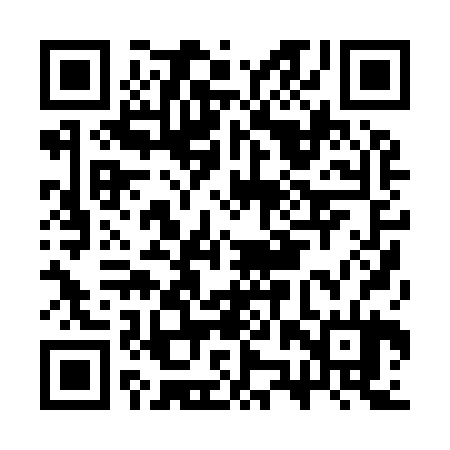 QR code for CZP924