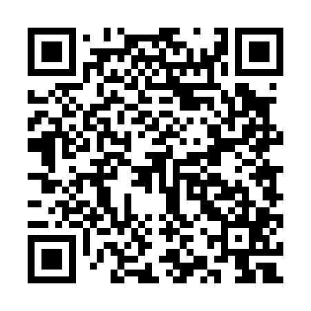 QR code for CZT005