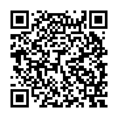 QR code for CZT295
