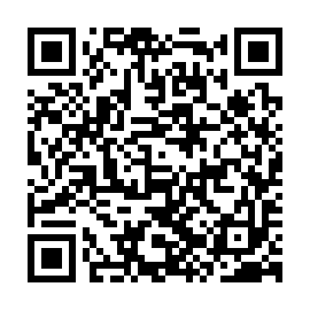 QR code for CZW393