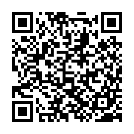 QR code for CZY207