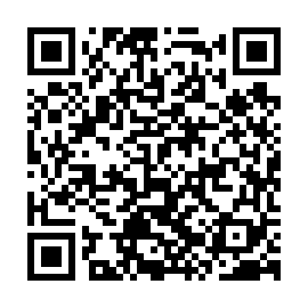 QR code for CZY669