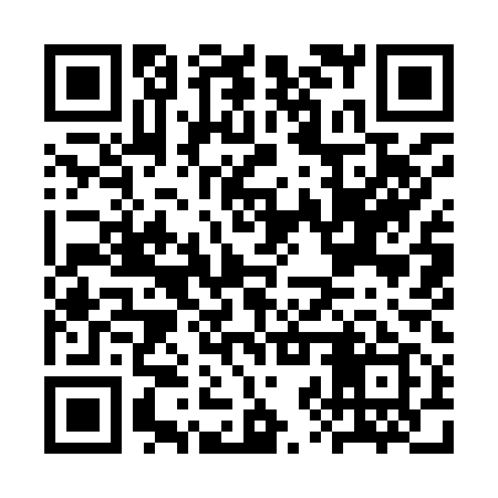 QR code for CZY919