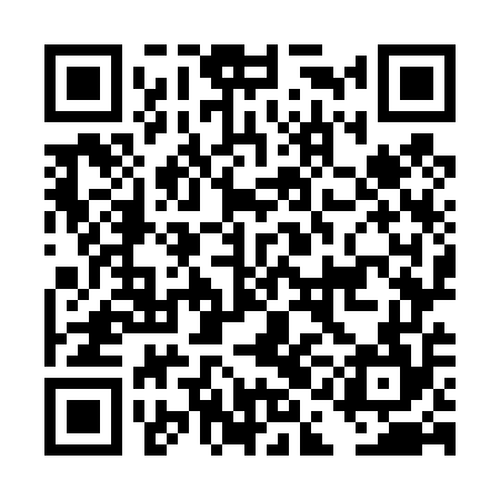 QR code for DAO454