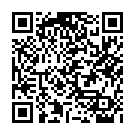 QR code for DCH738