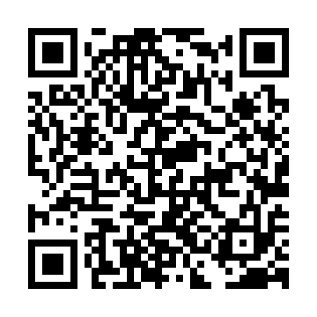 QR code for DCL313