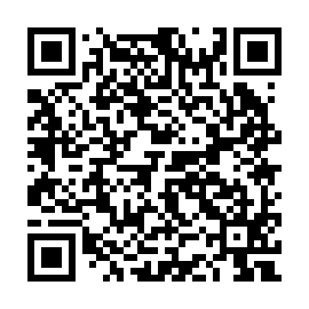QR code for DCQ295