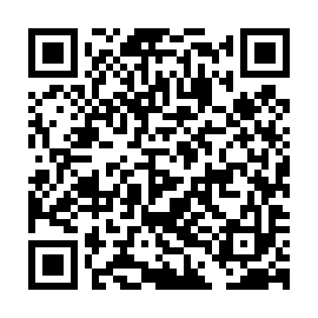 QR code for DDM493