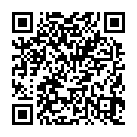 QR code for DDQ333