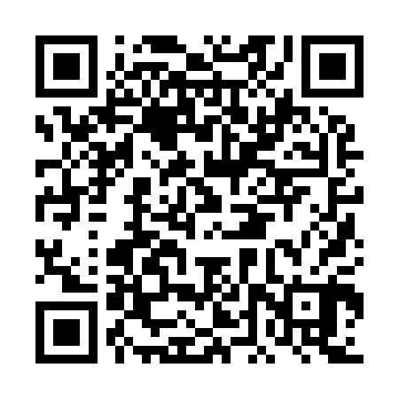 QR code for DDZ900