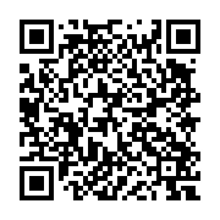 QR code for DFI443