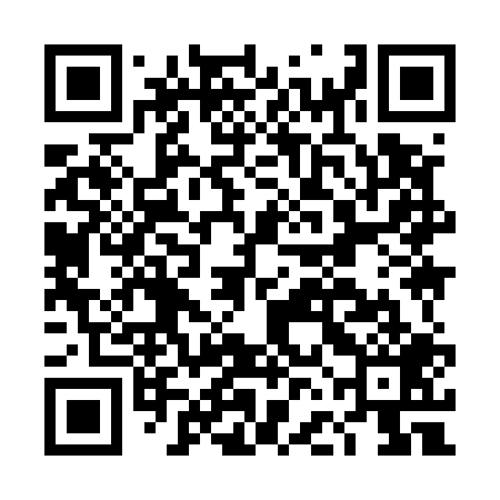 QR code for DFI509