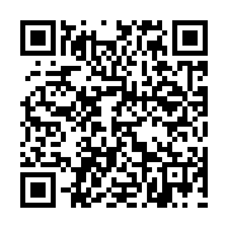 QR code for DFI905