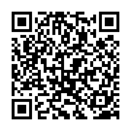 QR code for DFS575
