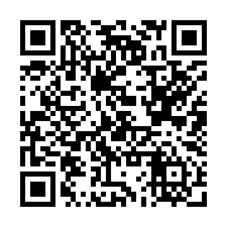 QR code for DFS994