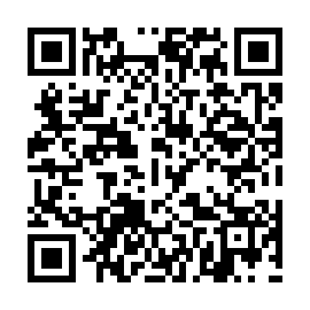 QR code for DFX303