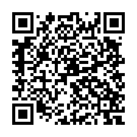 QR code for DGG407