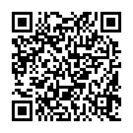 QR code for DGM386