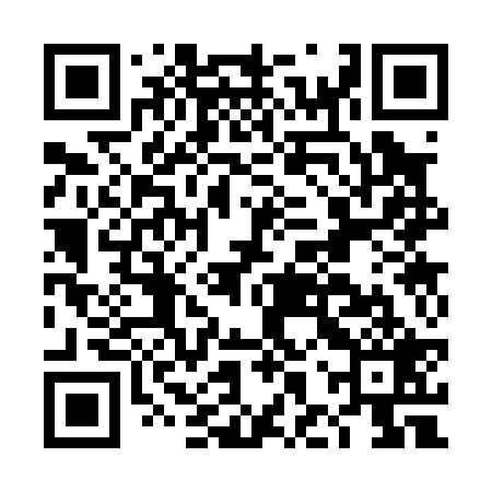 QR code for DHS029