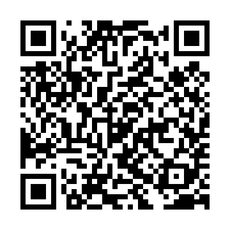 QR code for DHS489