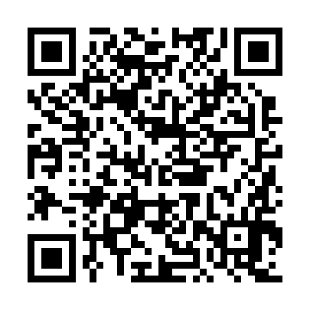 QR code for DHZ294