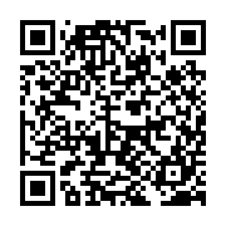QR code for DIA204