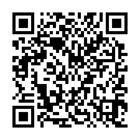 QR code for DID311