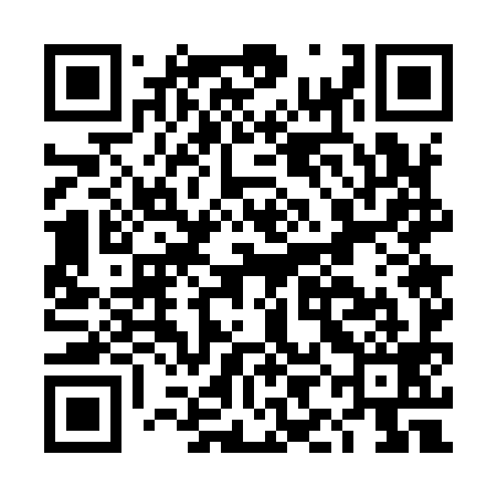 QR code for DIG999