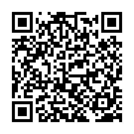 QR code for DIO295