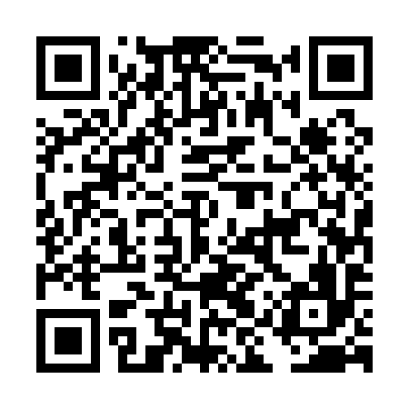 QR code for DIU196