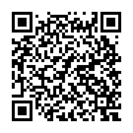 QR code for DIW317