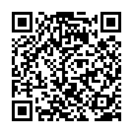 QR code for DIW539