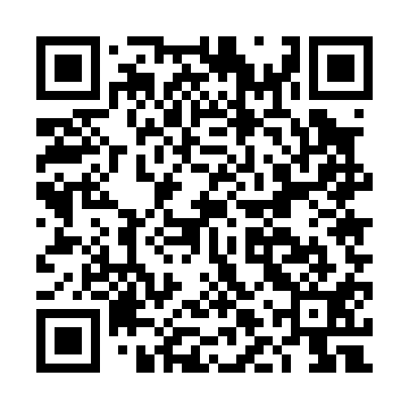 QR code for DLU011