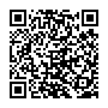 QR code for DLV699