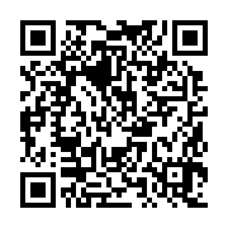 QR code for DMA387