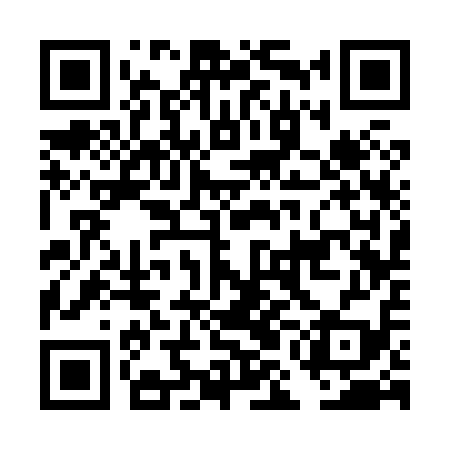 QR code for DMC819