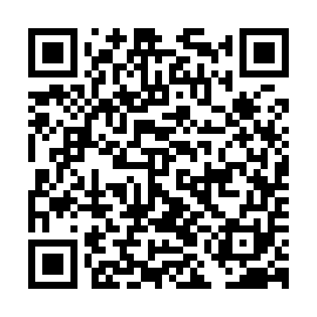QR code for DMC951