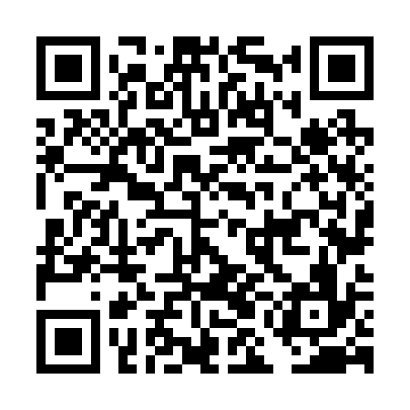 QR code for DMN236