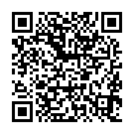 QR code for DMV991