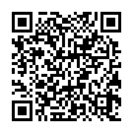 QR code for DMW338