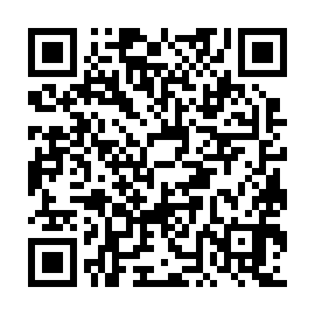 QR code for DNG290
