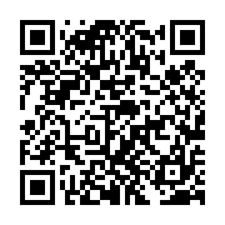 QR code for DNL417