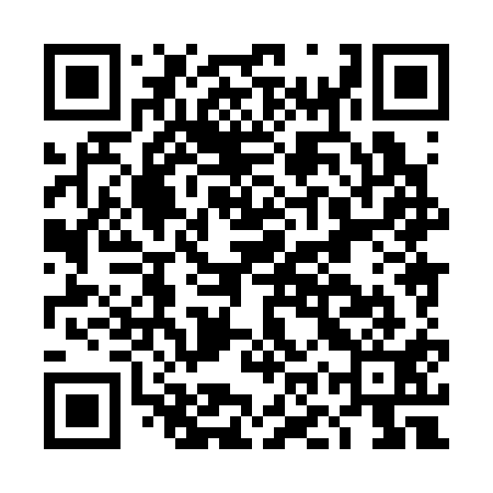 QR code for DOX311