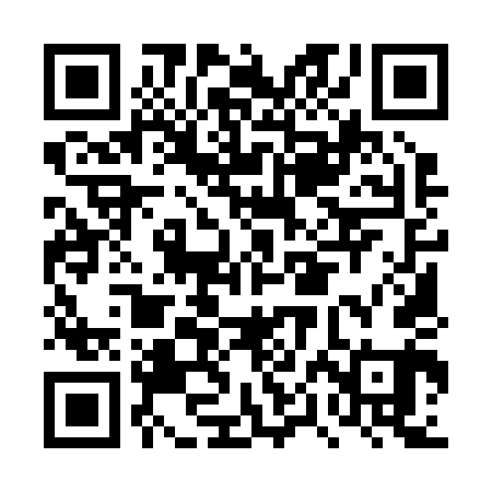 QR code for DPM241