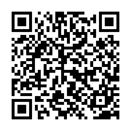QR code for DQL207